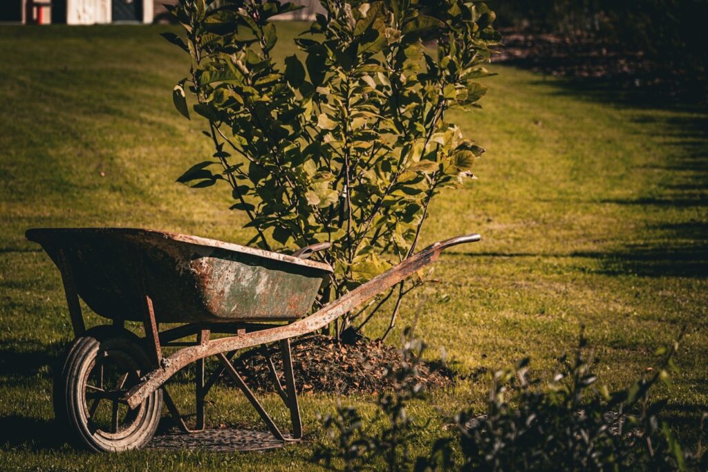 Featured Image 1 1024x683