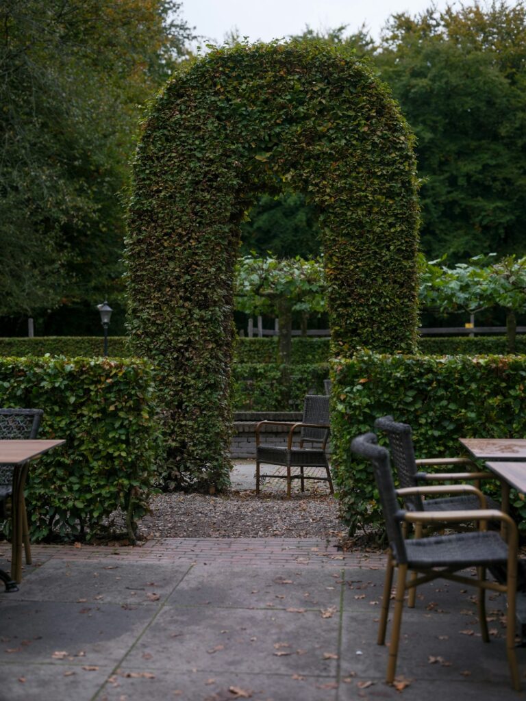 Landschaftsbau: Kreative Lösungen für Ihr Zuhause Featured Image 6 768x1024